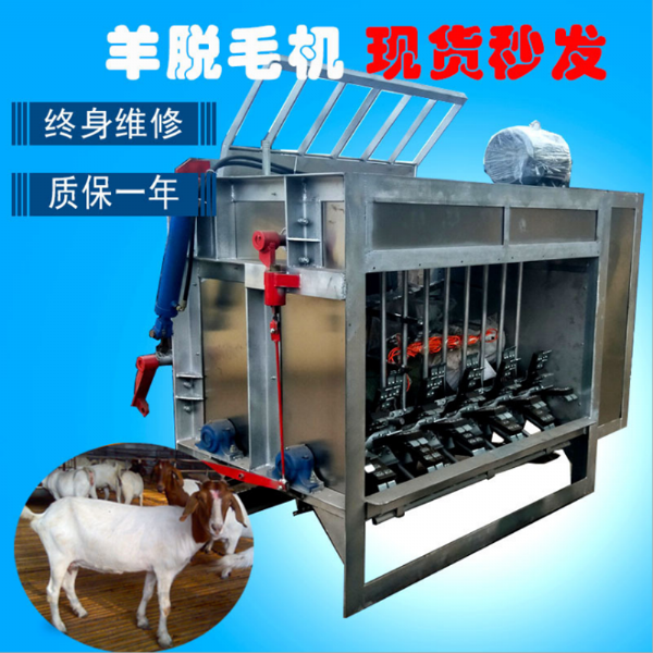 生豬、羊刨毛流水線(xiàn)
